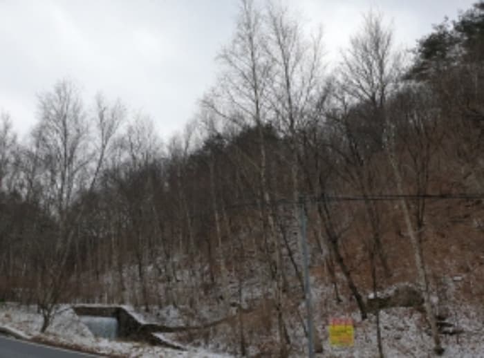 충청북도 단양군 대강면 도락산로 501-34 (2동)