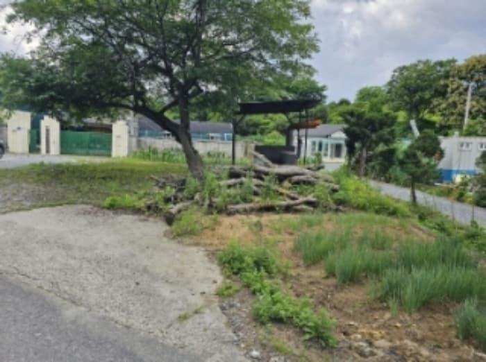 충청북도 제천시 신월동 1136-29