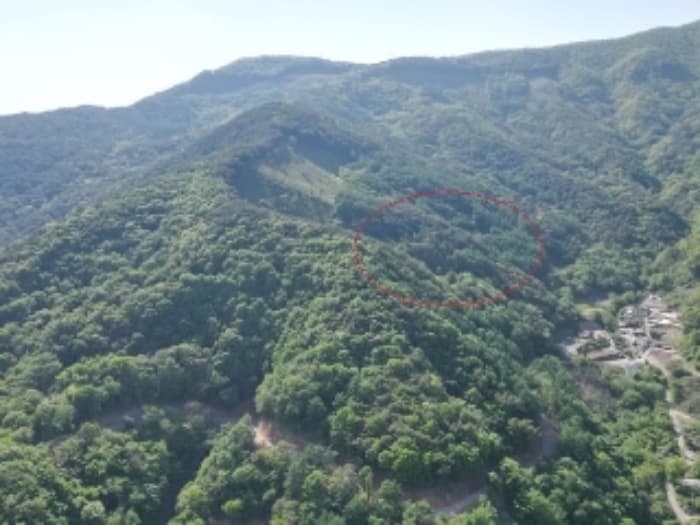 충청북도 단양군 영춘면 오사리 318-4