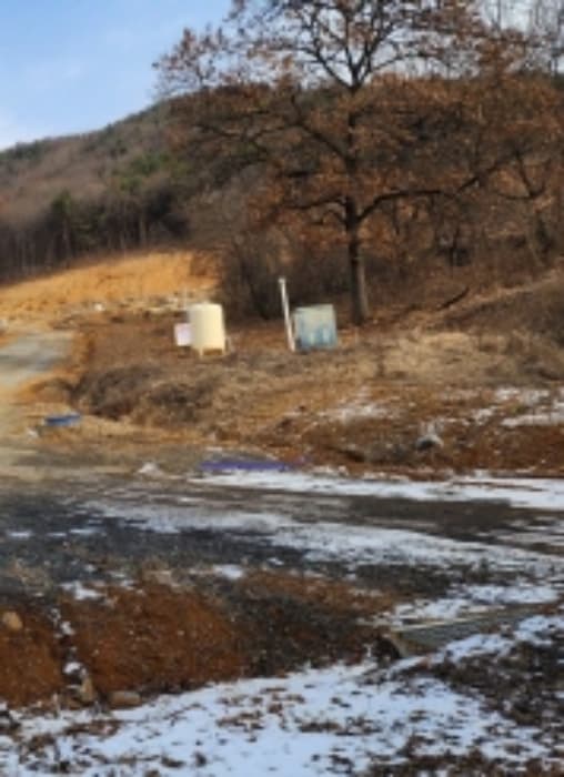 충청북도 제천시 청풍면 도곡리 291-1