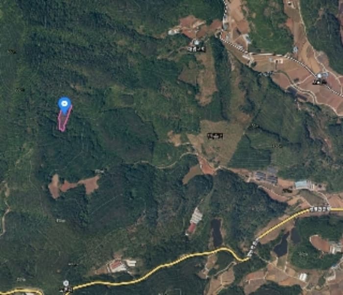 충청북도 단양군 영춘면 만종리 696