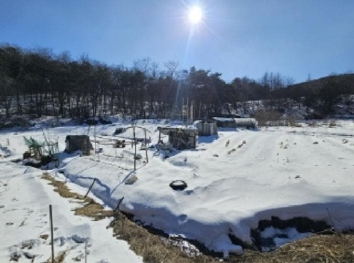 충청북도 제천시 강제동 산36-8