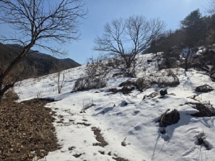 충청북도 제천시 청풍면 부산리 19-1