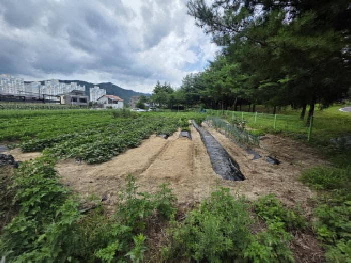충청북도 제천시 왕암동 910