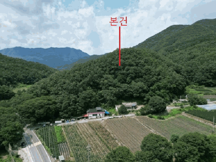 충청북도 단양군 대강면 성금리 산1