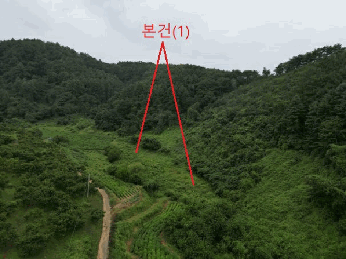 충청북도 제천시 봉양읍 명도리 95-8