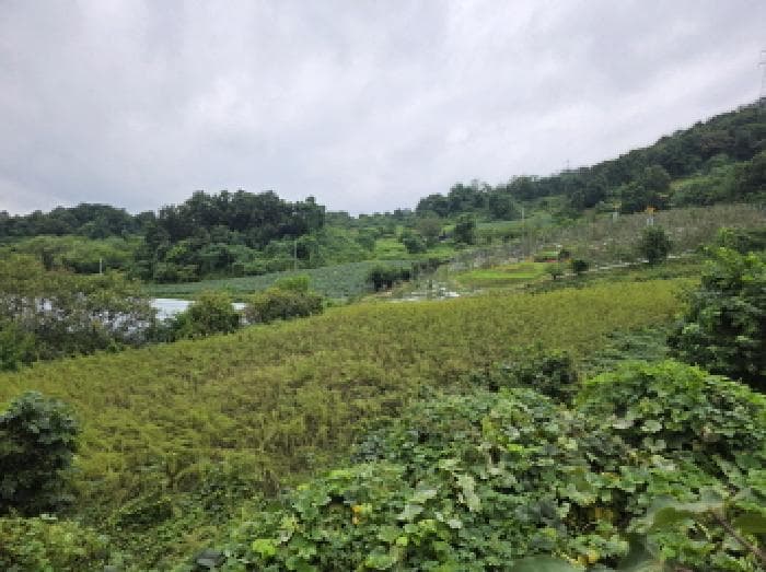 충청북도 단양군 어상천면 방북리 67