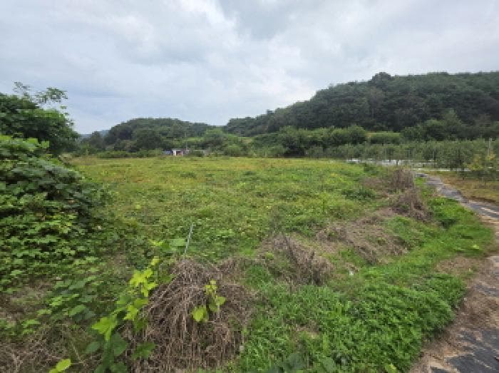충청북도 제천시 산곡동 602