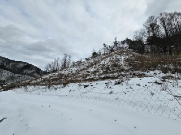 충청북도 단양군 영춘면 사이곡리 산41