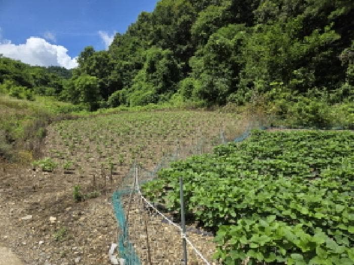 충청북도 제천시 수산면 내리 396-2