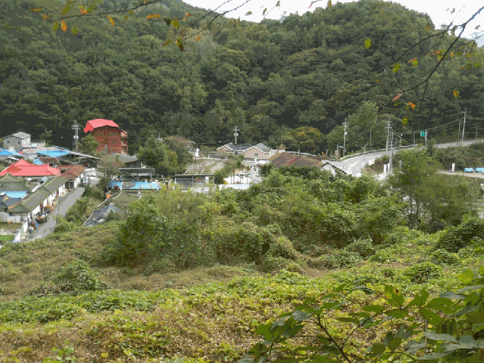 충청북도 제천시 금성면 성내리 150