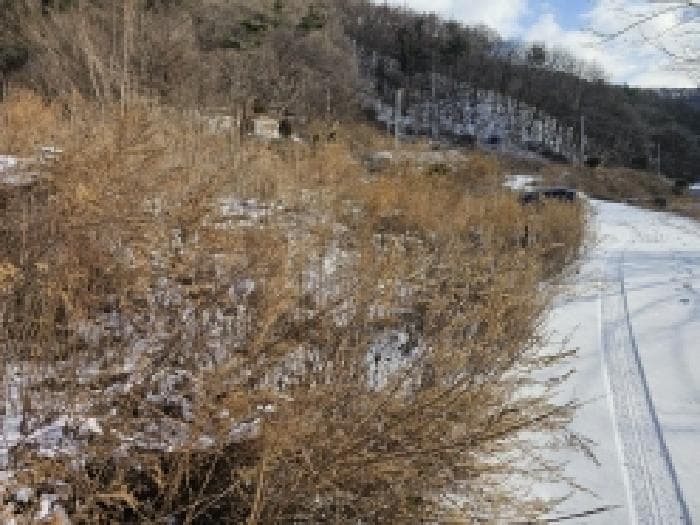 충청북도 단양군 대강면 덕촌리 149-2