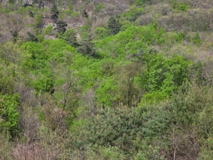 충청북도 제천시 백운면 방학리 산71