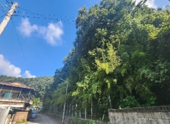 충청북도 영동군 영동읍 계산리 산24-6