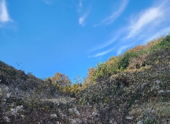 충청북도 옥천군 청성면 고당리 142-2