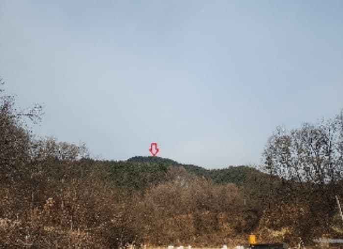 충청북도 옥천군 이원면 건진리 산29-19
