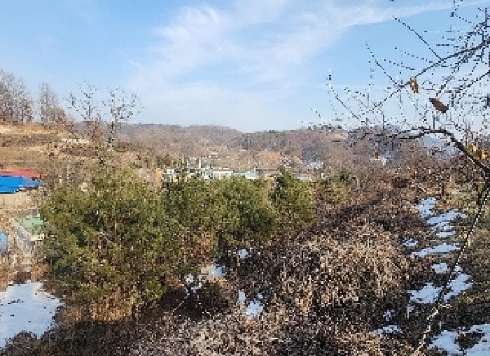 충청북도 영동군 용산면 부상리 622-1