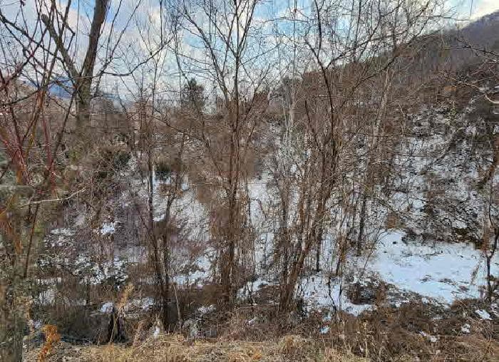 충청북도 영동군 용산면 부상리 658