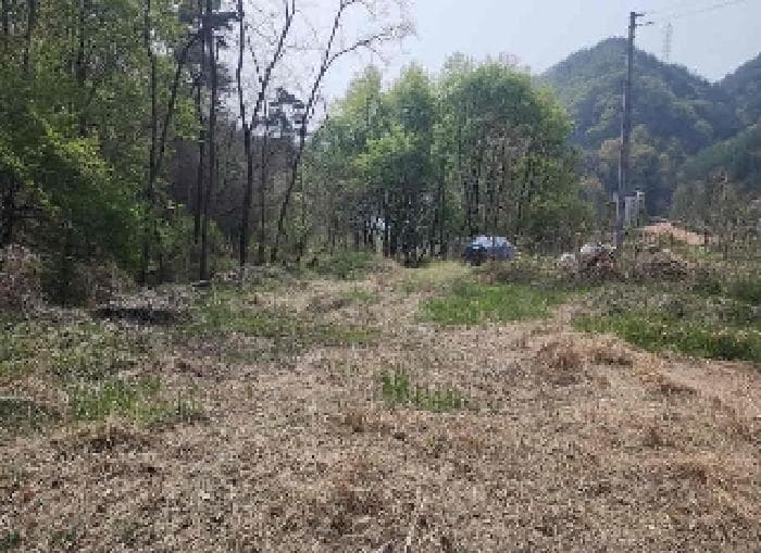충청북도 옥천군 옥천읍 교동리 124