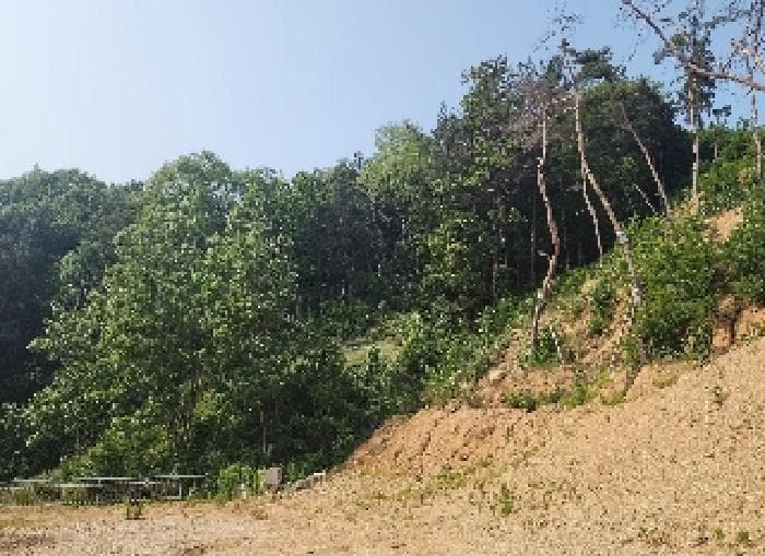 충청북도 옥천군 청산면 교평리 185-1