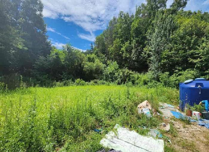 충청북도 옥천군 청산면 효목리 541 주1동