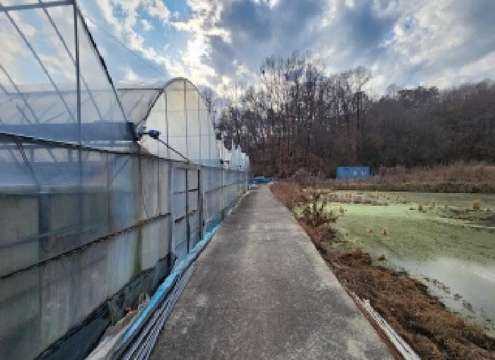 충청북도 옥천군 동이면 세산리 1065