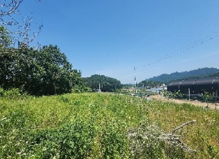 충청북도 옥천군 동이면 금암리 1099-2
