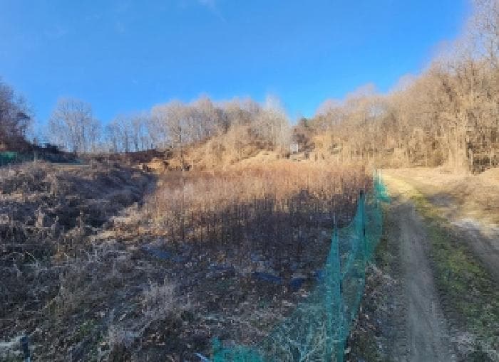 충청북도 옥천군 동이면 세산리 1467