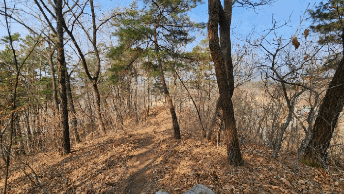 충청북도 옥천군 동이면 석탄리 산29