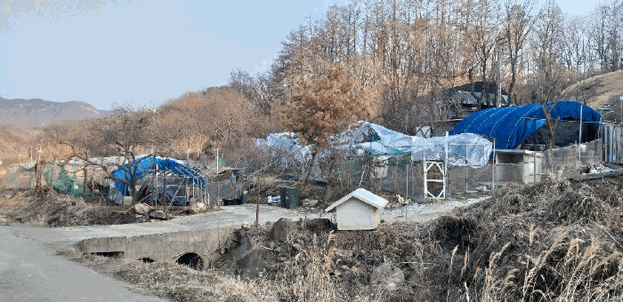 충청북도 옥천군 군서면 상중리 705