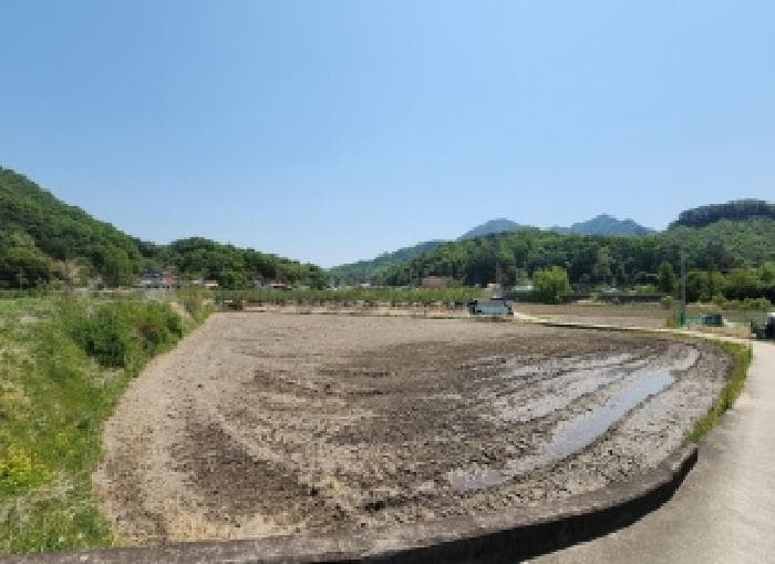 충청북도 옥천군 이원면 이원리 645