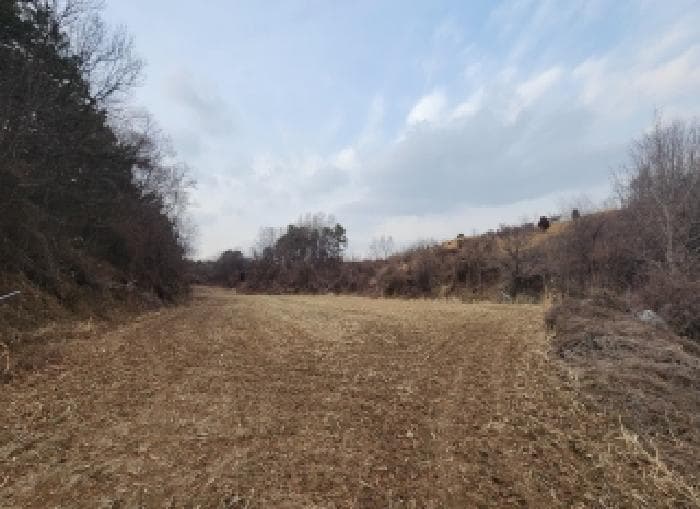 충청북도 옥천군 이원면 윤정리 537-13
