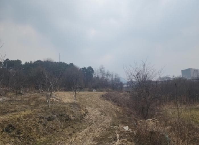 충청북도 옥천군 옥천읍 문정리 285-4