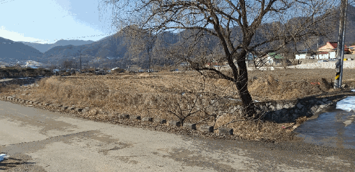 충청북도 옥천군 안내면 동대리 170-5