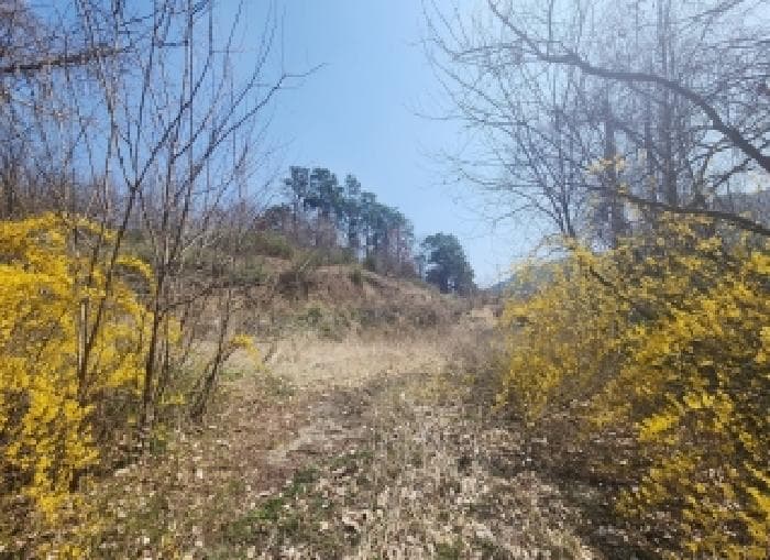 충청북도 옥천군 동이면 세산리 706-1