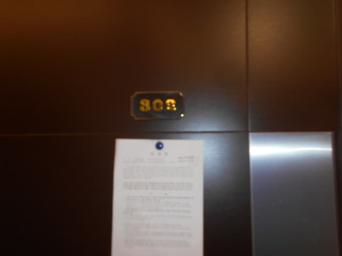 대전광역시 서구 신갈마로211번안길 11