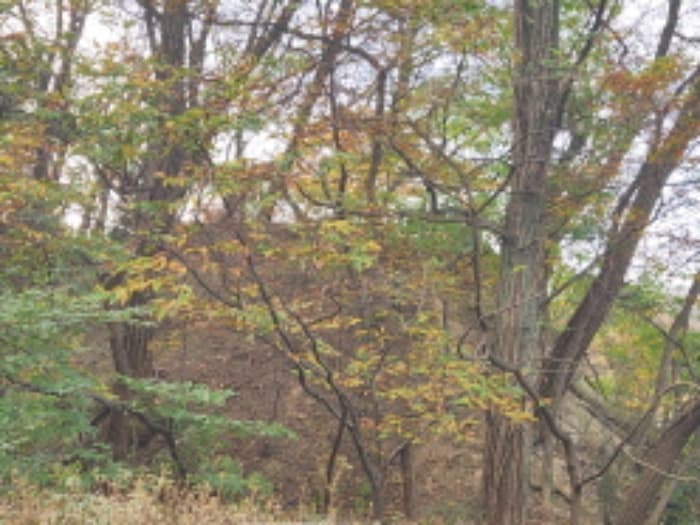 대전광역시 유성구 봉산동 621-1