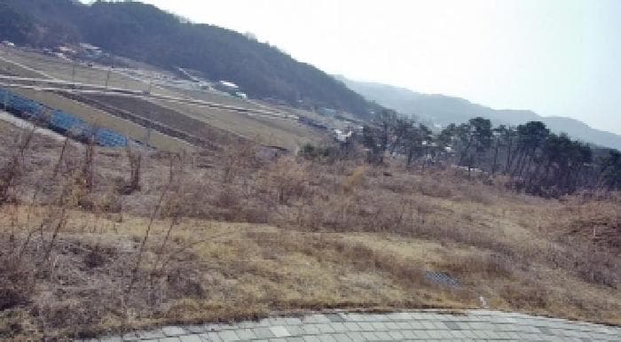 세종특별자치시  장군면 대교리 370-46