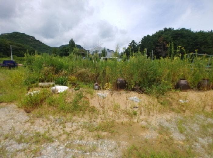 충청남도 금산군 금산읍 양지리 246-1