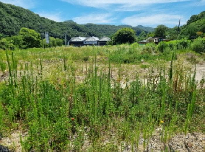 대전광역시 서구 흑석동 465-3