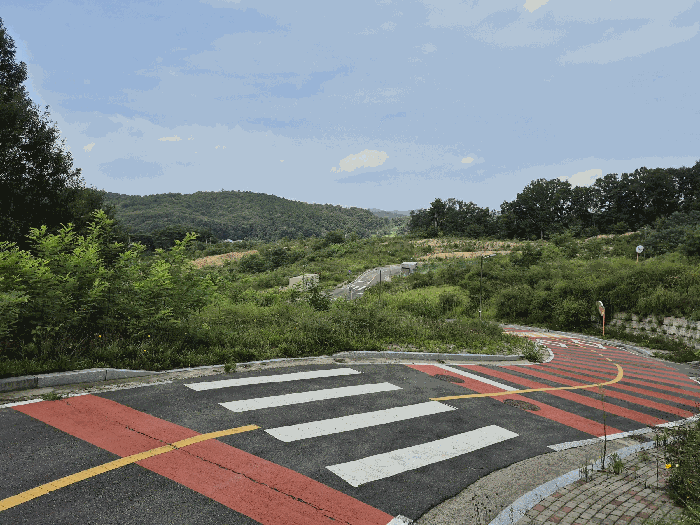 세종특별자치시  장군면 대교리 125-2