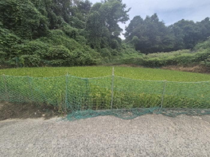 세종특별자치시  부강면 문곡리 777