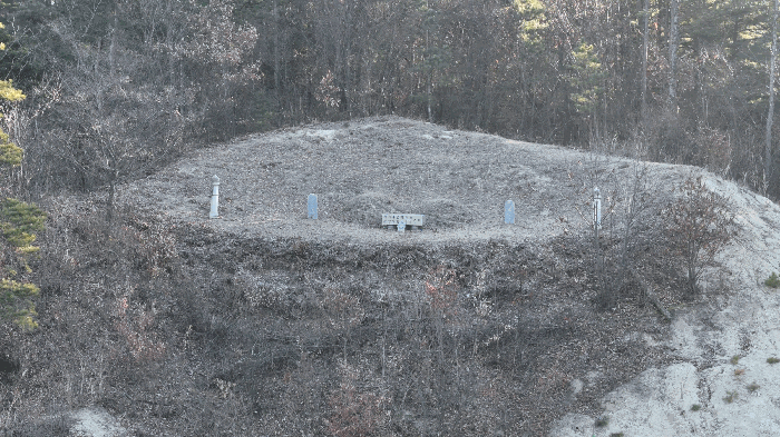 충청남도 금산군 금성면 도곡리 409-1