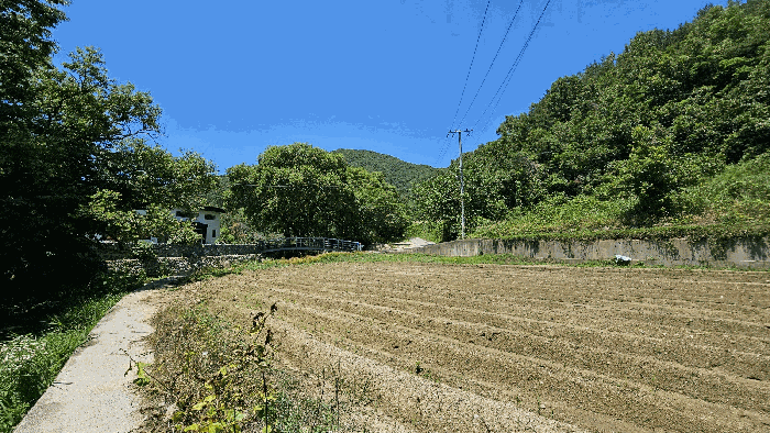 충청남도 금산군 군북면 동편리 431