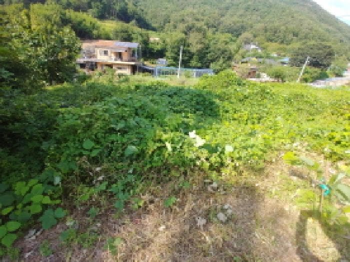 충청남도 금산군 제원면 신안리 152-2