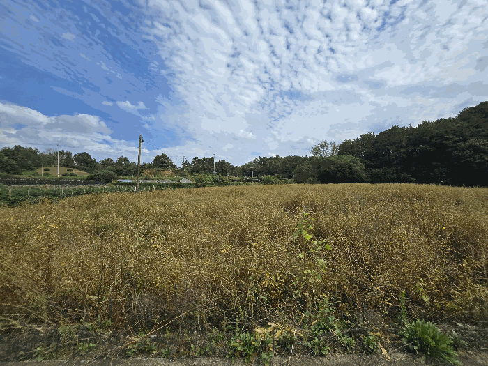 충청남도 금산군 부리면 관천리 14-8