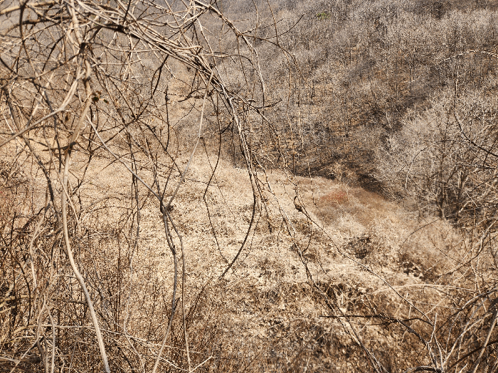 충청남도 금산군 남이면 상금리 265