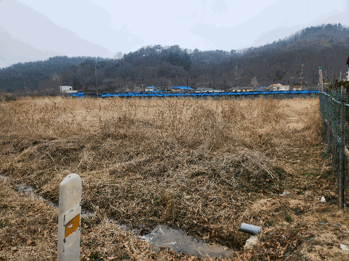 세종특별자치시  조치원읍 봉산리 262-5