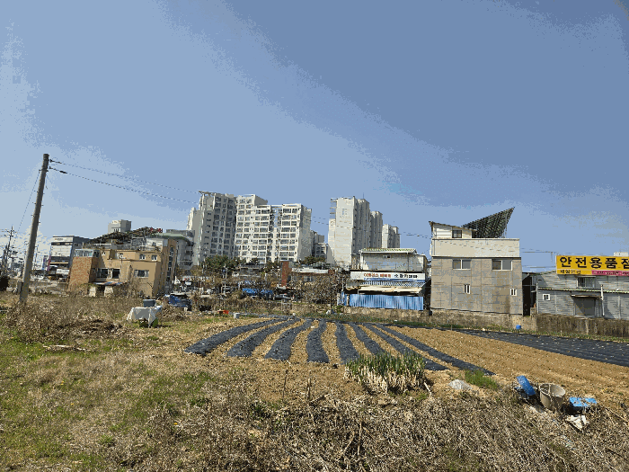 세종특별자치시  조치원읍 죽림리 288