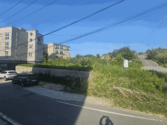 세종특별자치시  장군면 봉안리 295